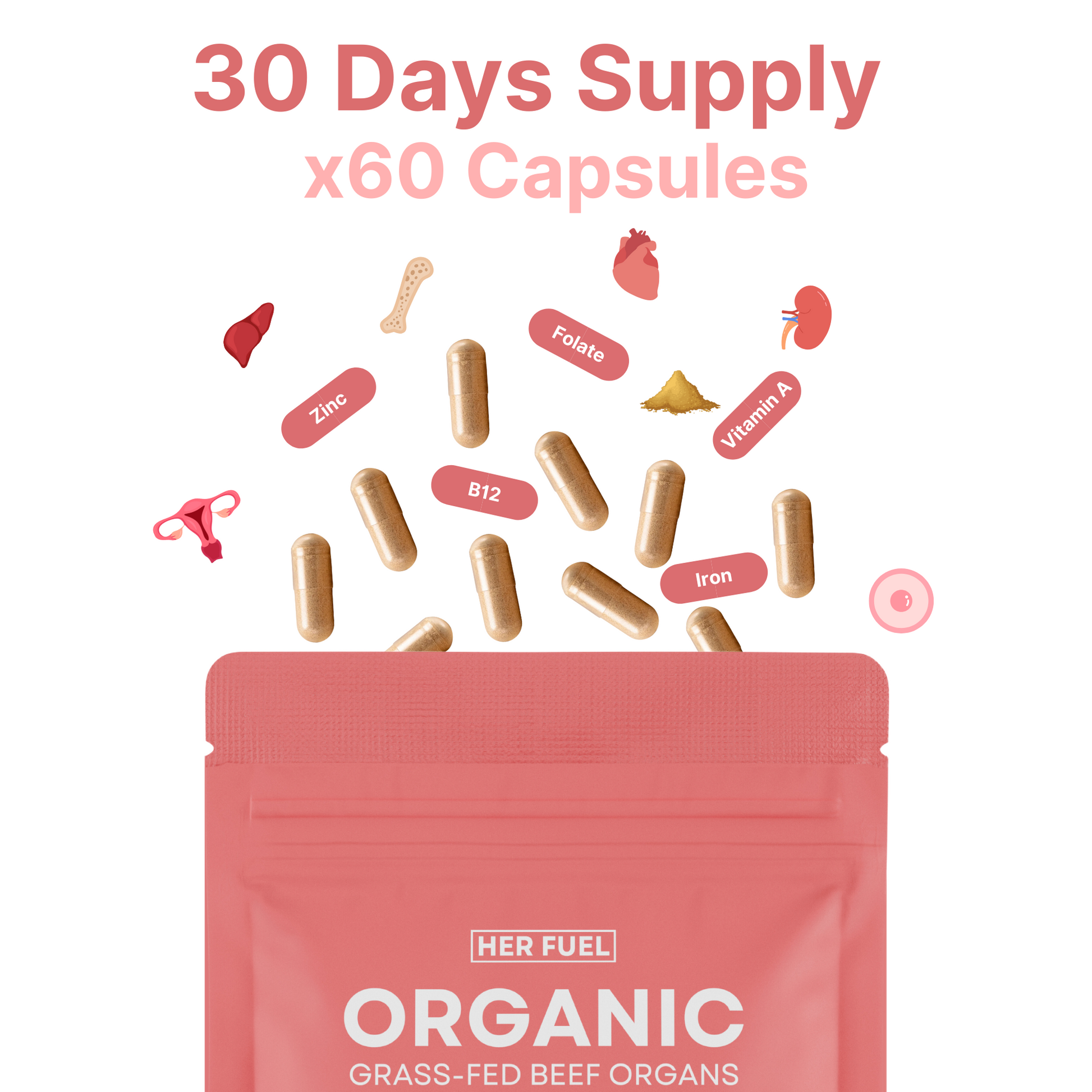HerFuel 6 Months Supply - Plus Free Bag